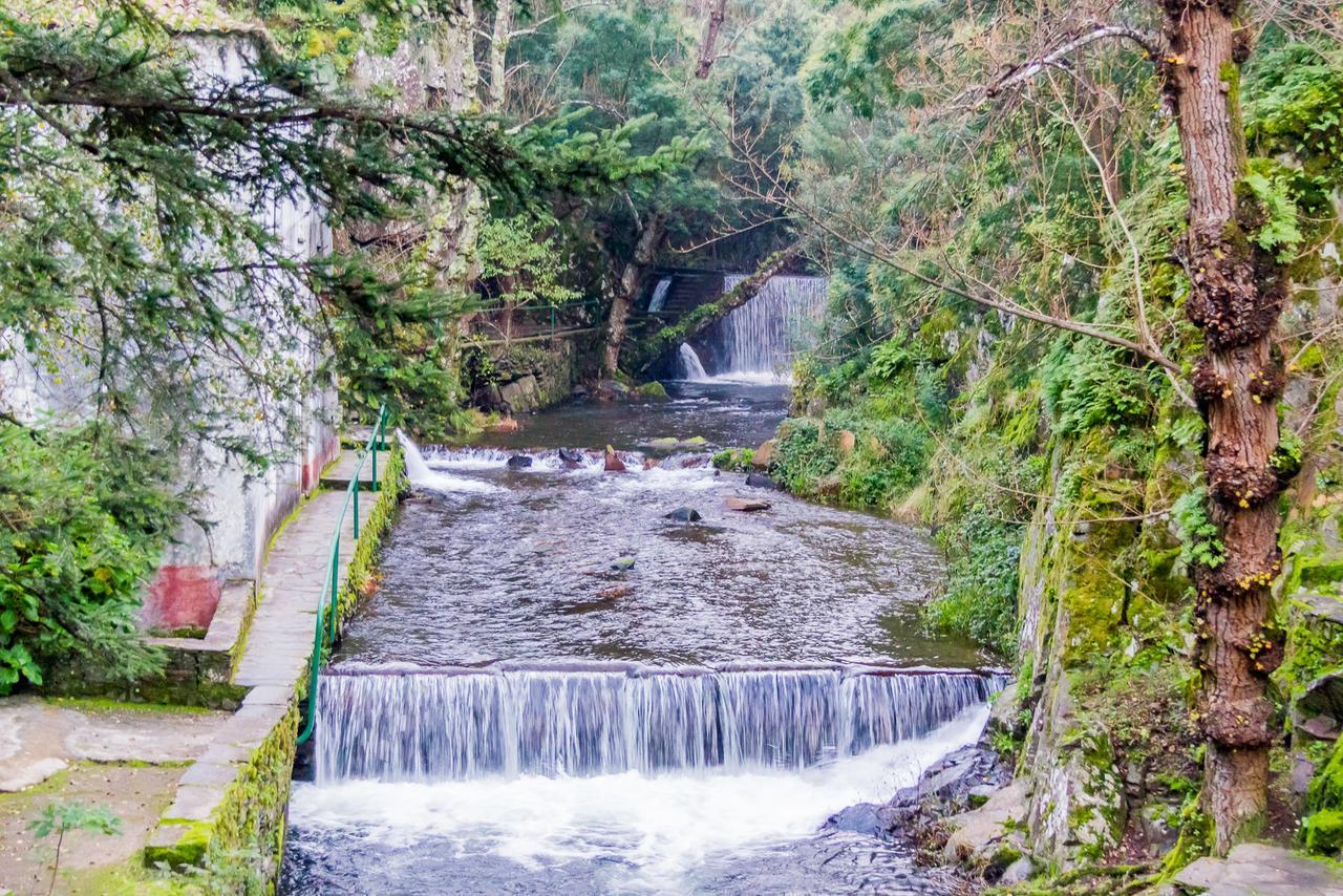 Quintal De Alem Do Ribeiro-Turismo Rural Lousa  Exterior photo